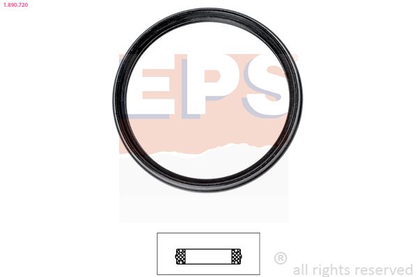 Seal, thermostat EPS 1.890.720