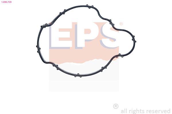 Seal, thermostat EPS 1.890.739