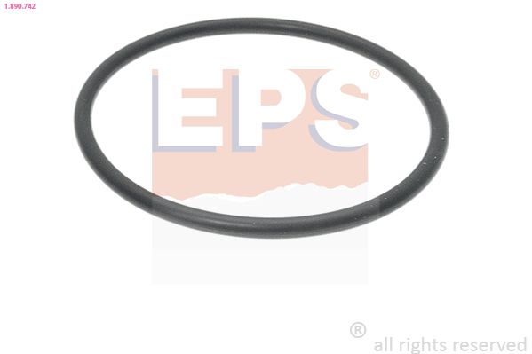 Seal, thermostat EPS 1.890.742