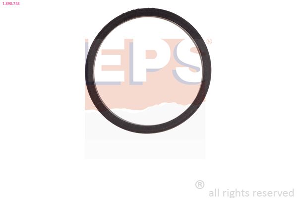 Seal, thermostat EPS 1.890.745