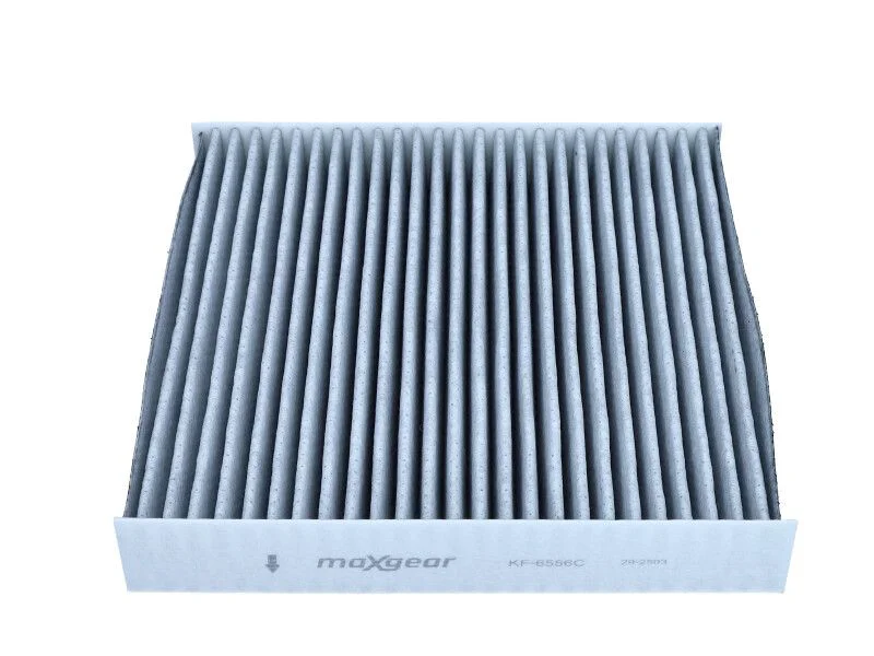 Filtras, salono oras MAXGEAR 26-2587