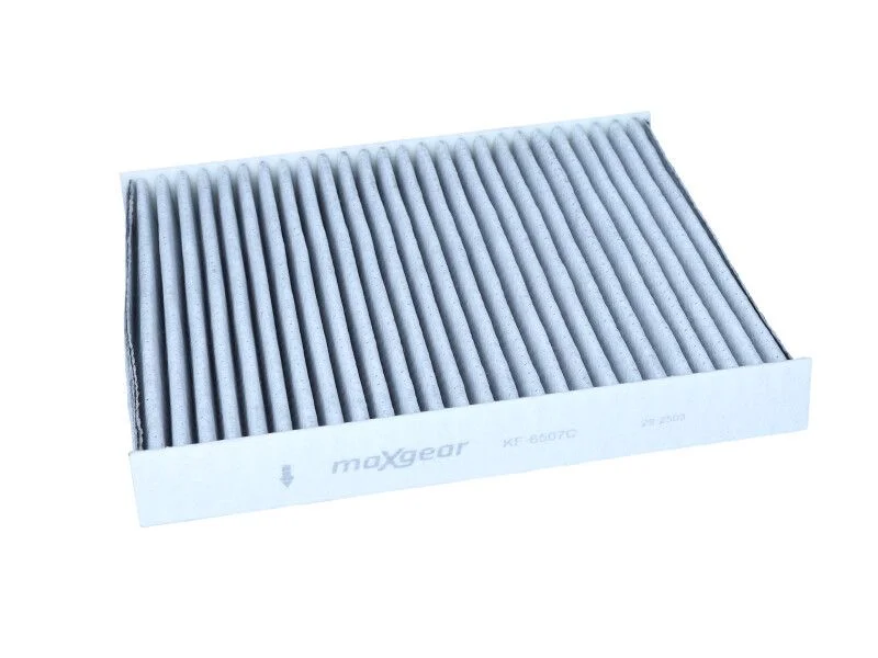 Filtras, salono oras MAX 26-2589