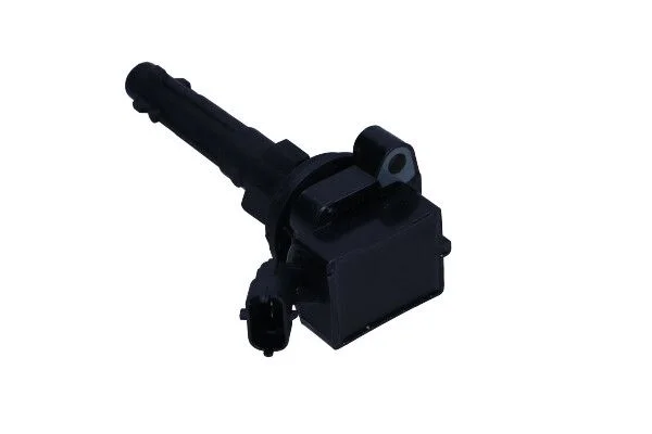 Ritė, uždegimas MAXGEAR 13-0211