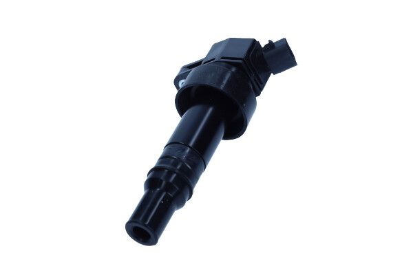 Ritė, uždegimas MAXGEAR 13-0340