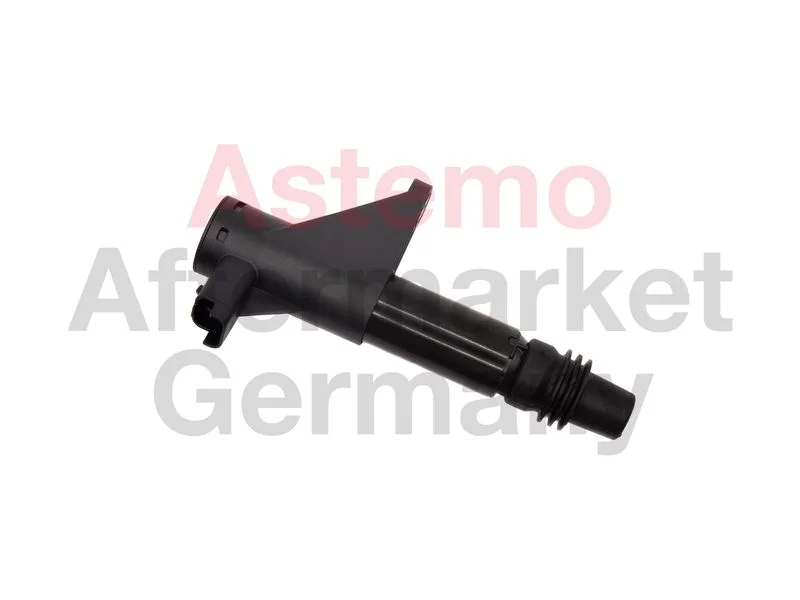 Ritė, uždegimas ASTEMO 2503803