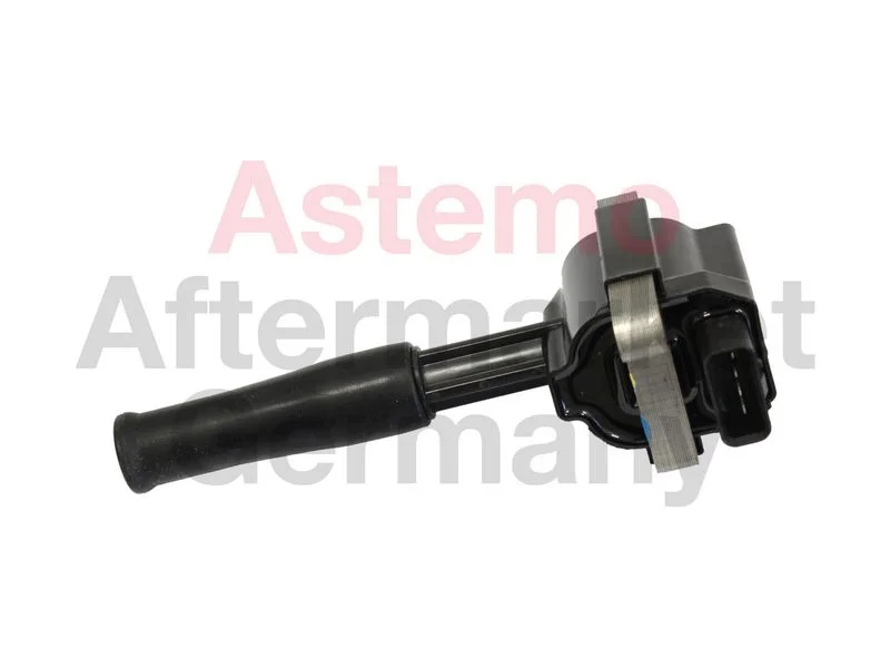 Ritė, uždegimas ASTEMO 2504007