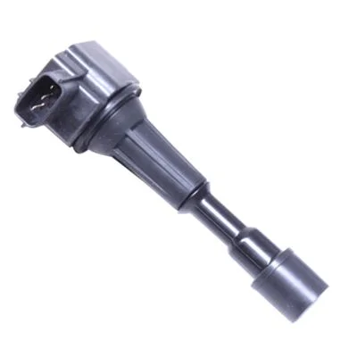 Ritė, uždegimas HITACHI 133939