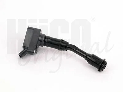 Ritė, uždegimas HITACHI 133956