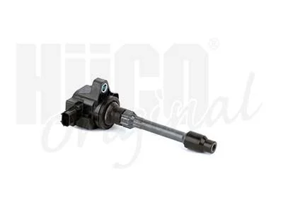 Ritė, uždegimas HITACHI 133967