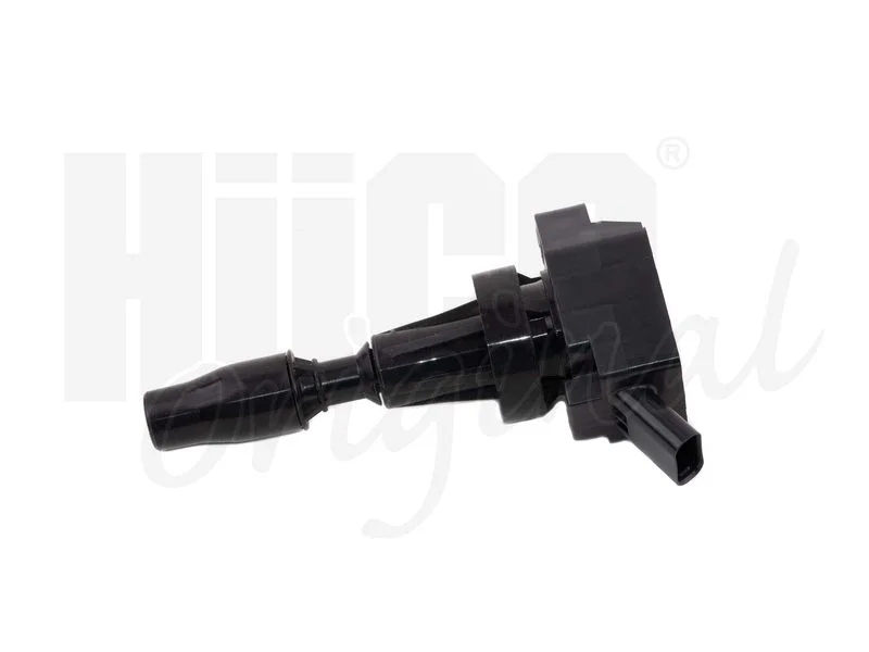Ritė, uždegimas HITACHI 133984