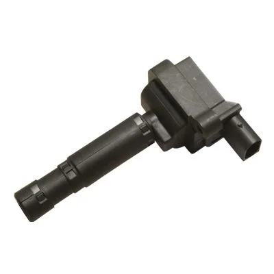 Ritė, uždegimas HITACHI 134066