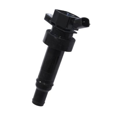 Ignition Coil HITACHI 134080