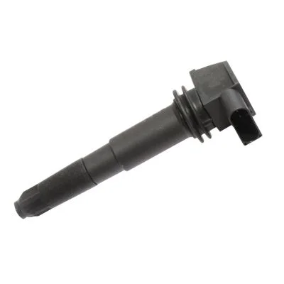 Ritė, uždegimas HITACHI 2503881