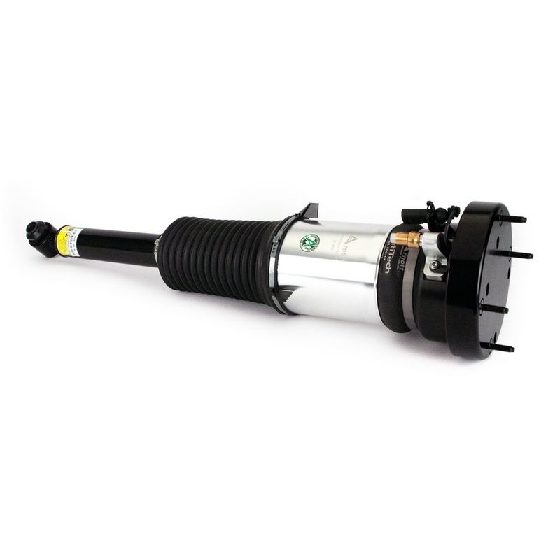 Air Suspension Strut Arnott ASE-3819