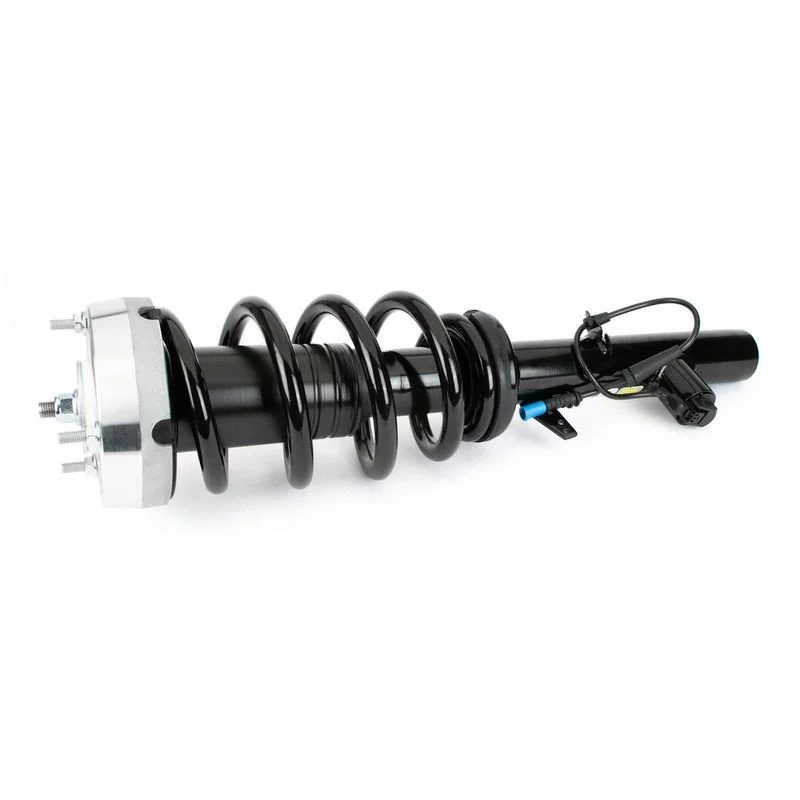 Amortizatorius Arnott SK-3604