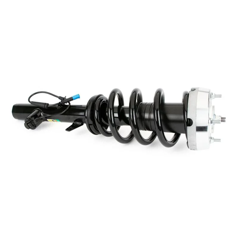 Amortizatorius Arnott SK-3605
