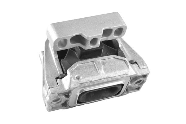 Variklio montavimas TEDGUM TED43999