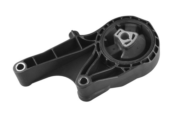 Variklio montavimas TEDGUM TED48185