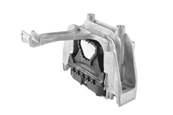 Variklio montavimas TEDGUM TED64610
