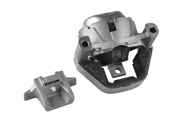 Variklio montavimas TEDGUM TED66421