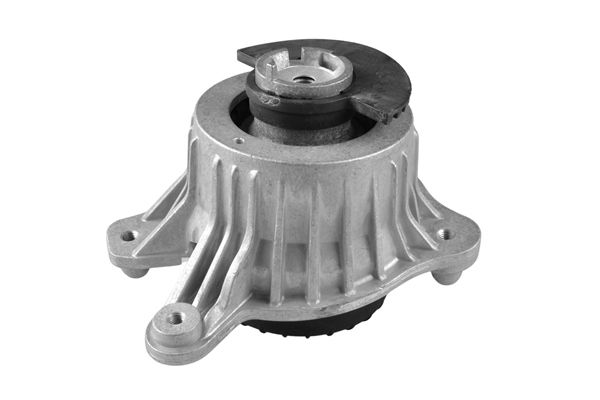 Variklio montavimas TEDGUM TED98110