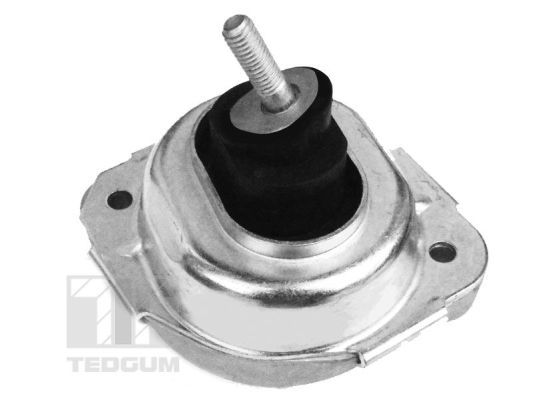 Mounting, engine TEDGUM 00088531