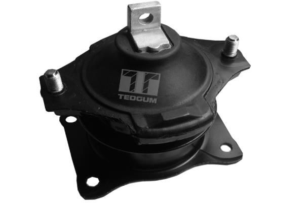 Mounting, engine TEDGUM 00260933