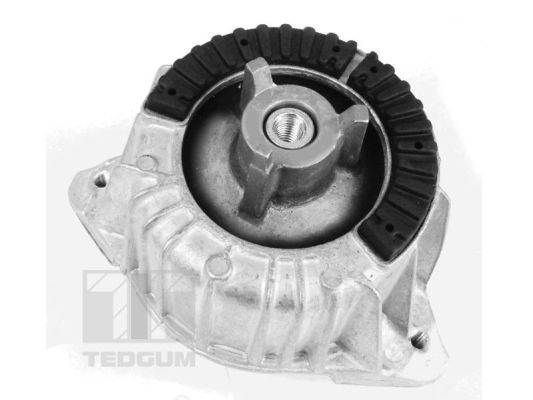 Mounting, engine TEDGUM 00418473