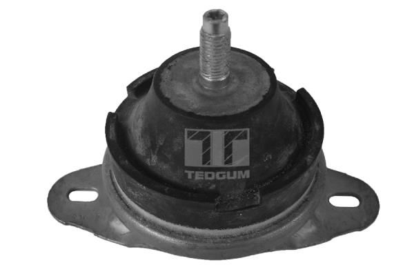 Mounting, engine TEDGUM 00514176