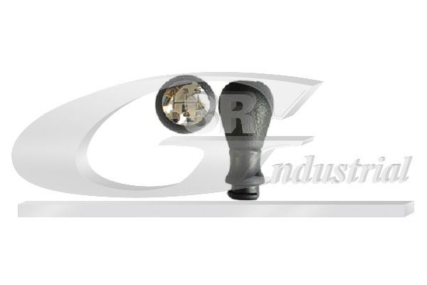 Gear Shift Lever Knob 3RG 25216