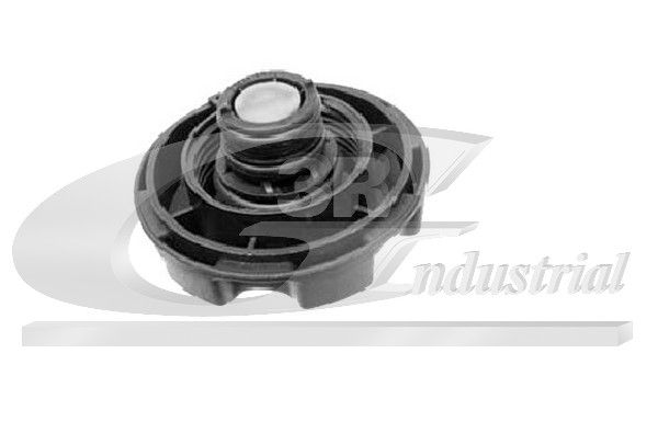 Cap, coolant tank 3RG 80116