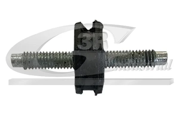 Variklio montavimas 3RG 80261