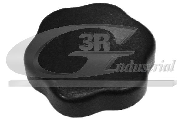 Sealing Cap, oil filler neck 3RG 80630