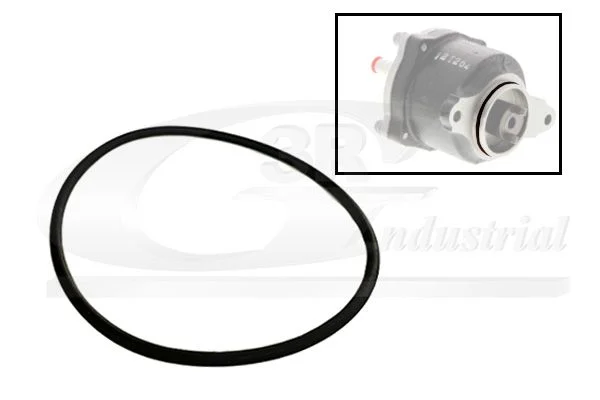 Gasket, vacuum pump 3RG 81091