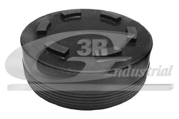 Заглушка, монтажний отвір осі коромисла 3RG 84700