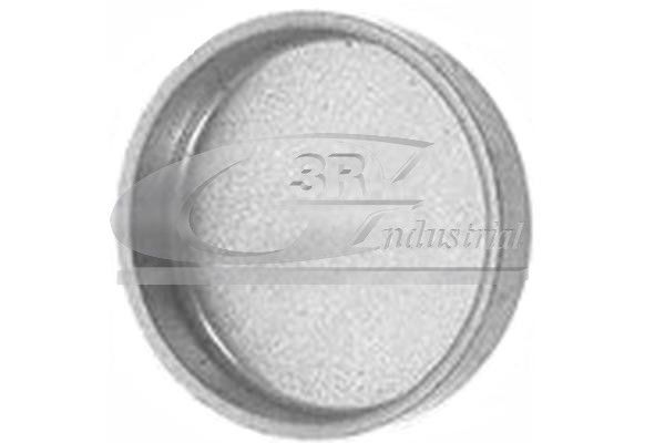 Užšalęs kaištis 3RG 84008