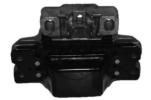 Variklio montavimas Metalcaucho 04867