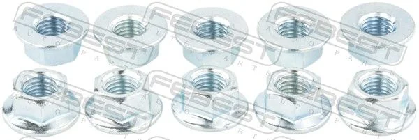 Veržlė FEBEST 0231-002-PCS10