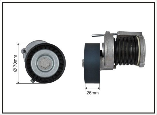 Tensioner Lever, V-ribbed belt CAFFARO 100100SP