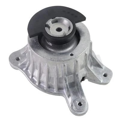 Variklio montavimas OSSCA 58785
