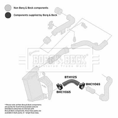 Kompresoriaus padavimo žarna BORG & BECK BTH1125