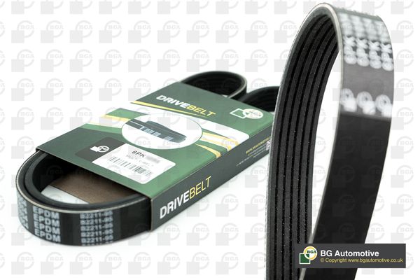 V-Ribbed Belt BGA 6PK1019E