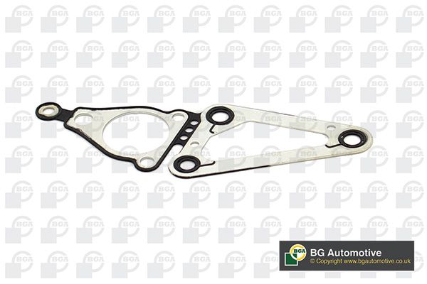 Gasket, timing case BGA AH2366