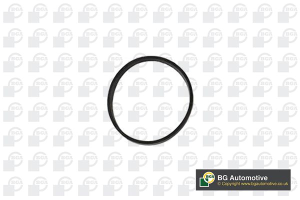 Gasket, intake manifold BGA RW3399