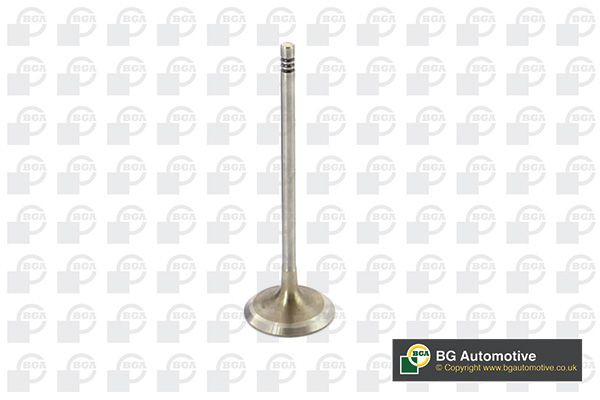 Intake Valve BGA V090102