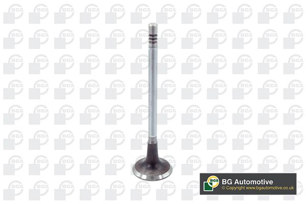 Intake Valve BGA V203632