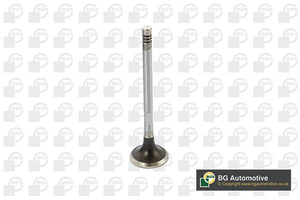 Exhaust Valve BGA V424832