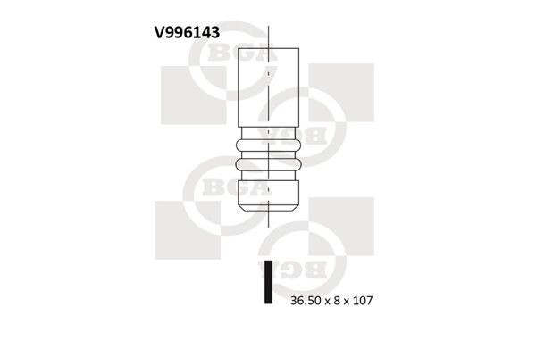 Intake Valve BGA V996143