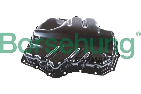 Oil Sump Borsehung B10660