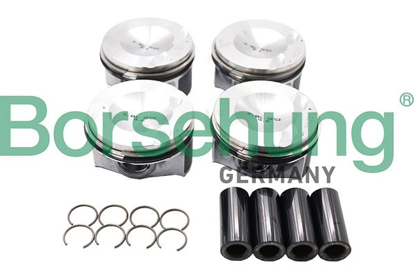 Piston Ring Kit Borsehung B13574